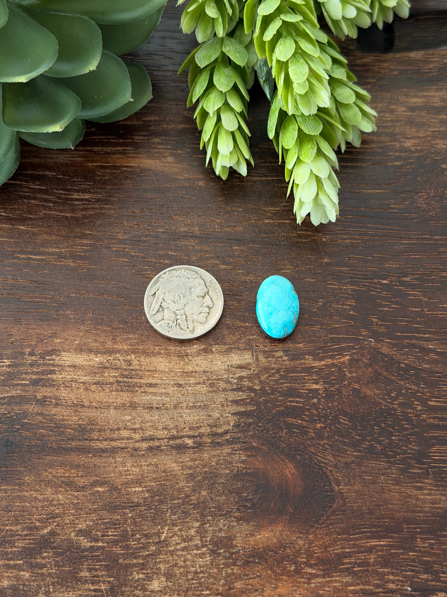 Blue Bird Turquoise Cab