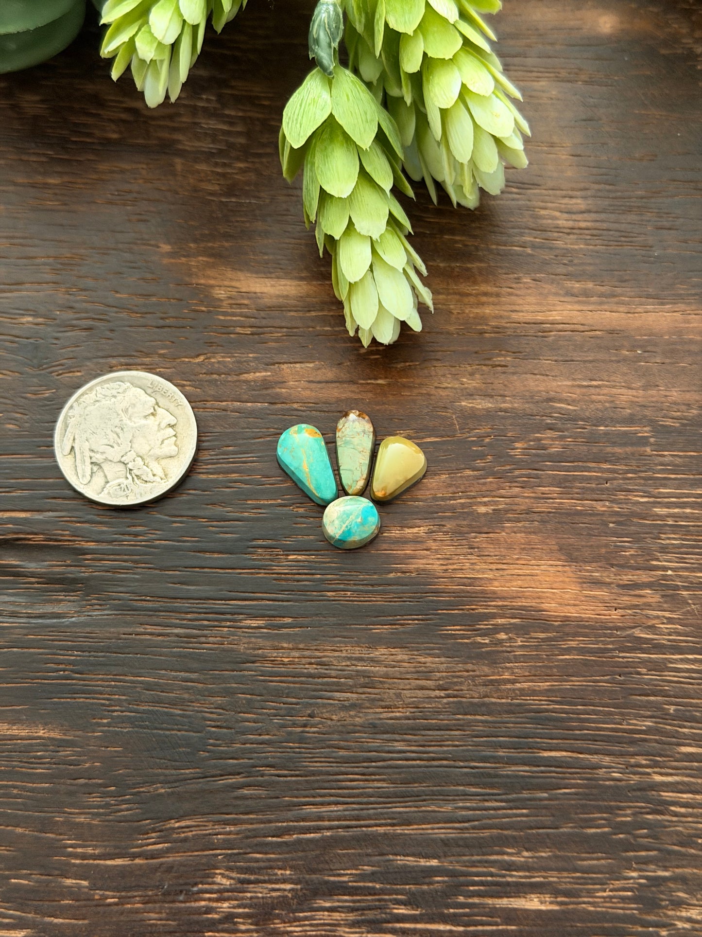 Evans Turquoise Cabs