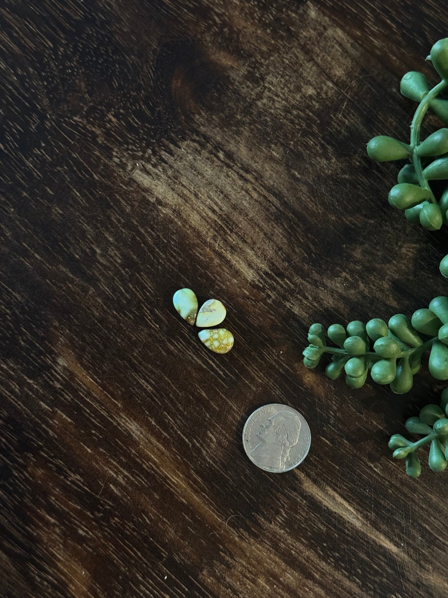 Palomino Variscite Cabs
