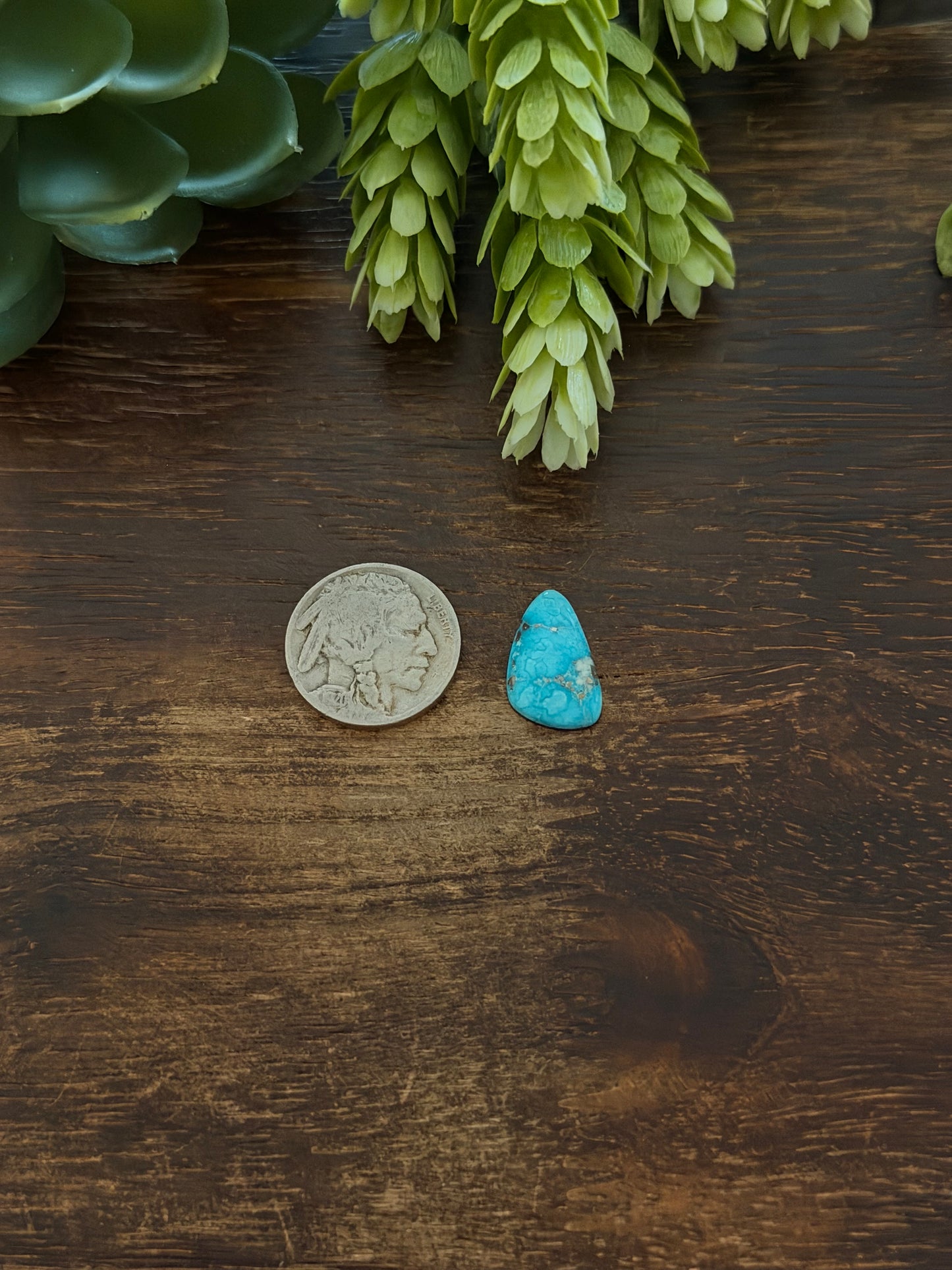 Blue Bird Turquoise Cab