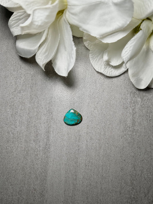 Kingman Turquoise Cab