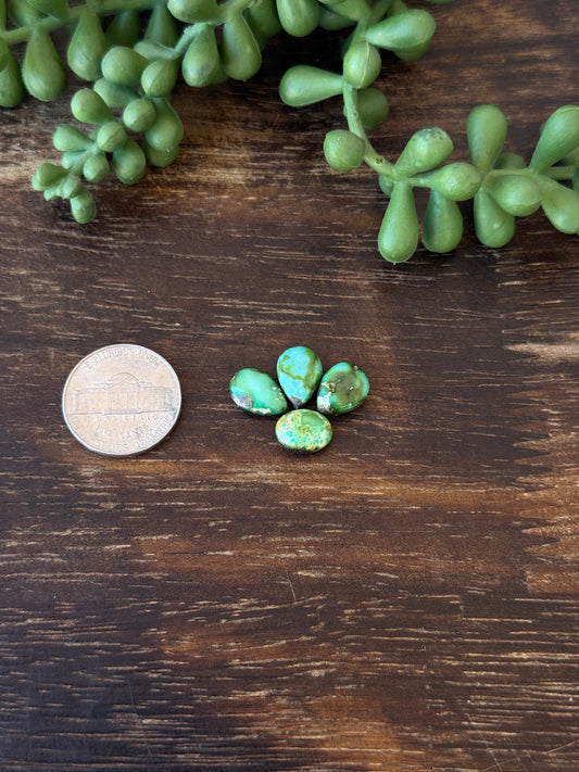 Sonoran Mountain Turquoise Cabs