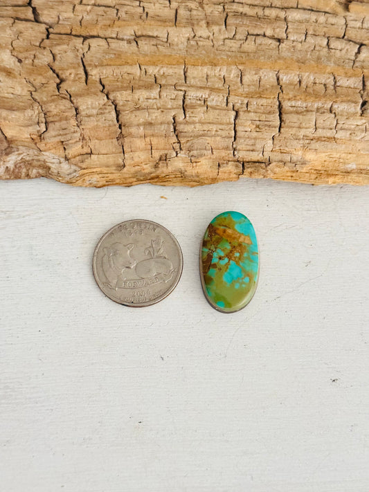 Natural Kings Manassa Turquoise Cab