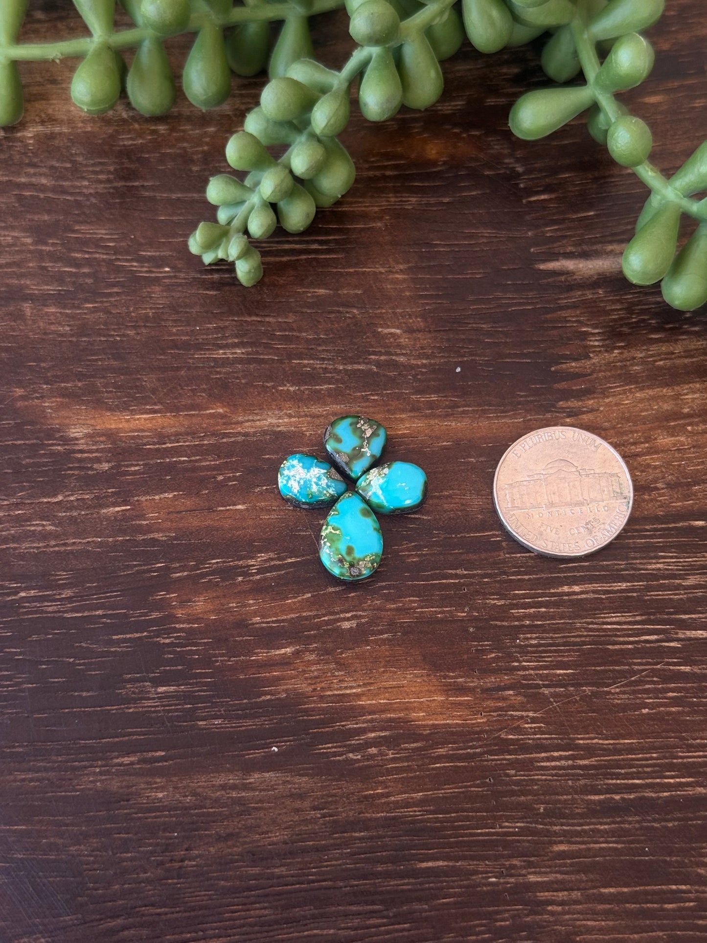 Sonoran Mountain Turquoise Cabs