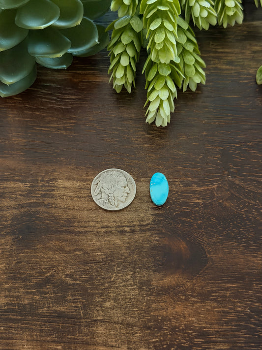 Blue Bird Turquoise Cab