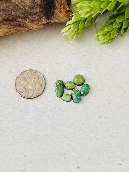 Natural Sonoran Gold Turquoise Cabs