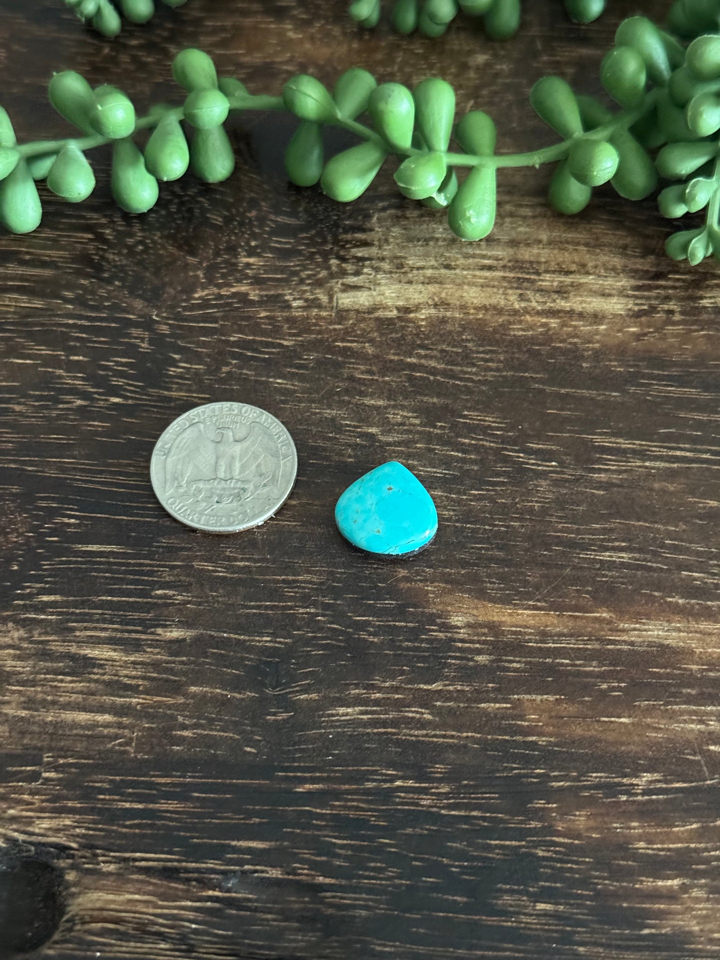 Kingman Turquoise Cab