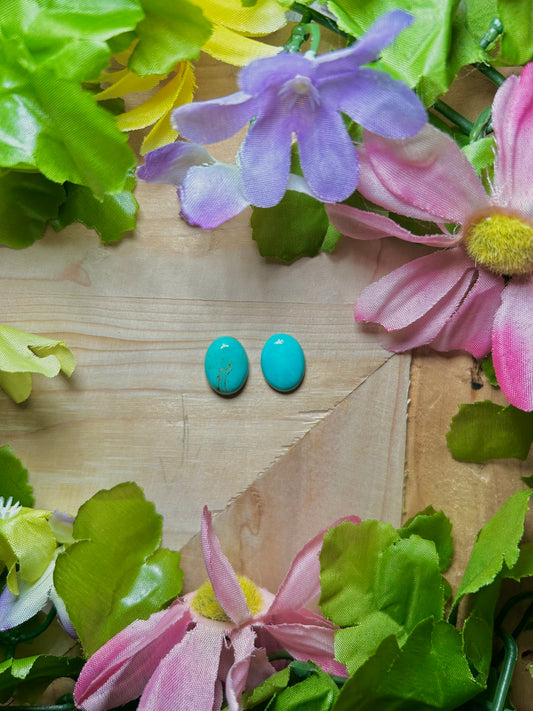 Kingman Turquoise Cabs