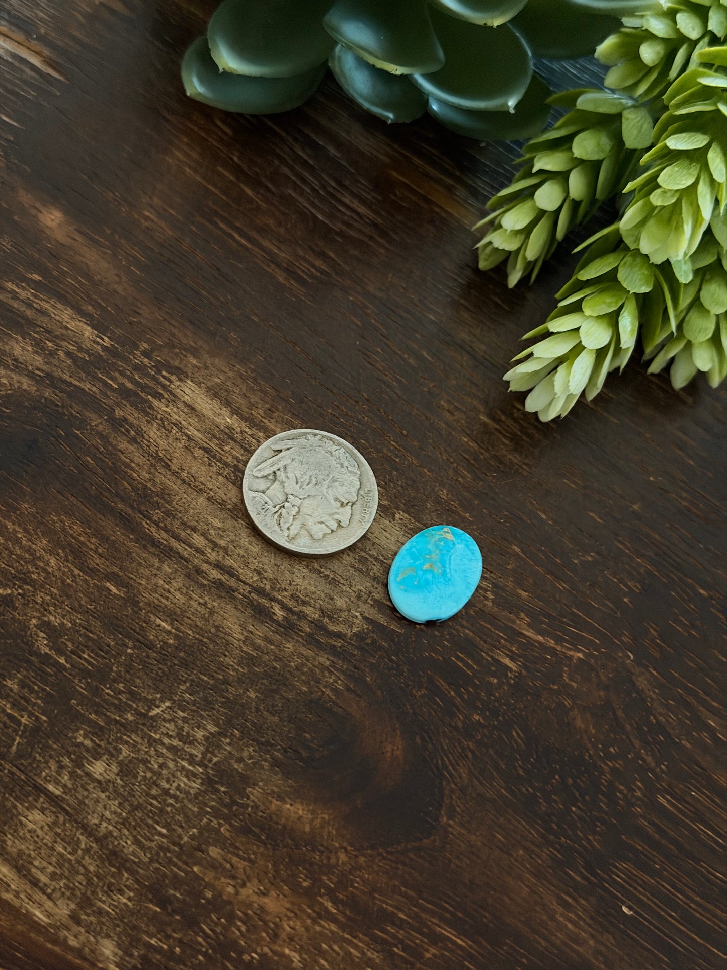 Blue Bird Turquoise Cab