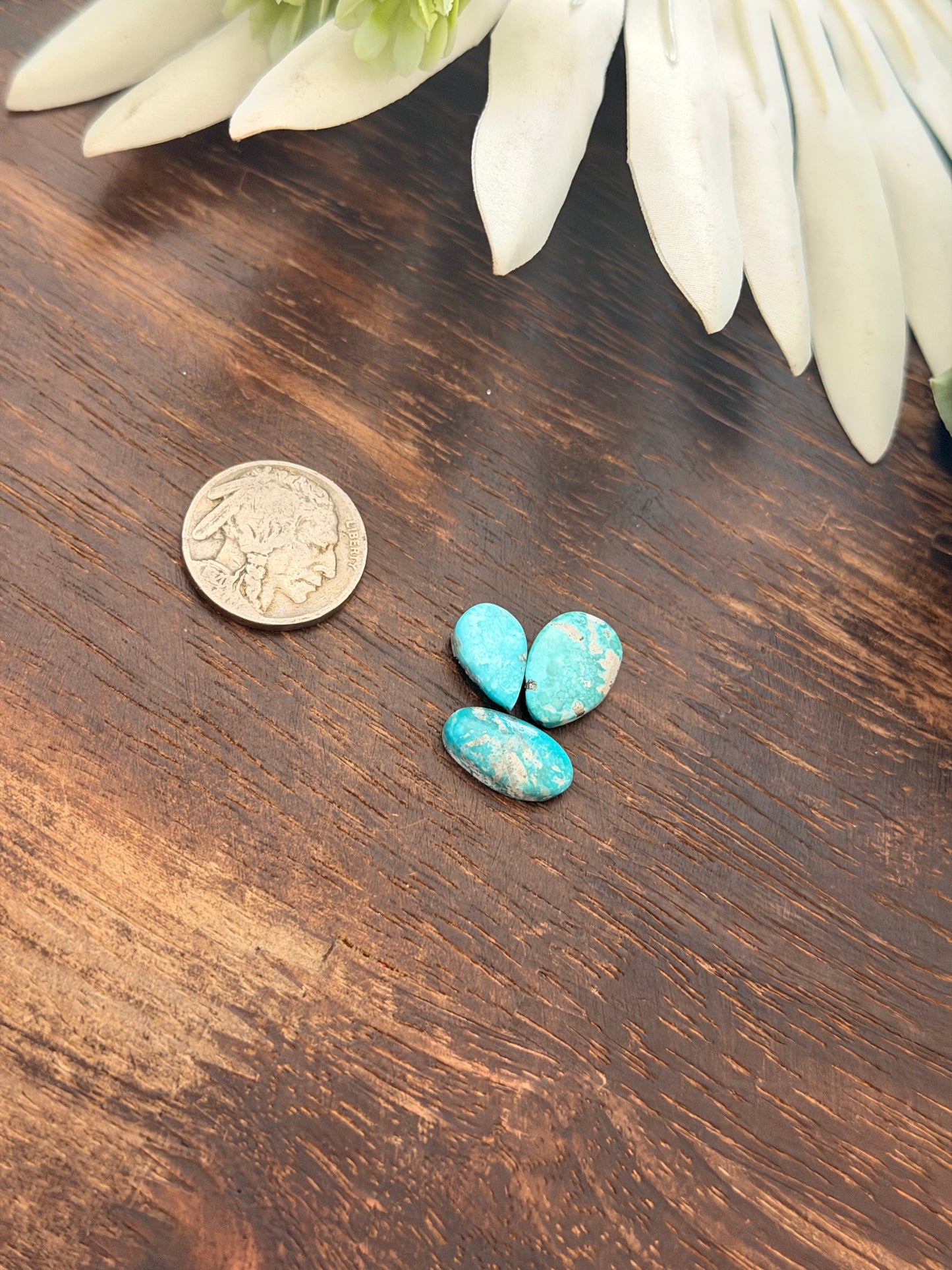 White Water Turquoise Cabs