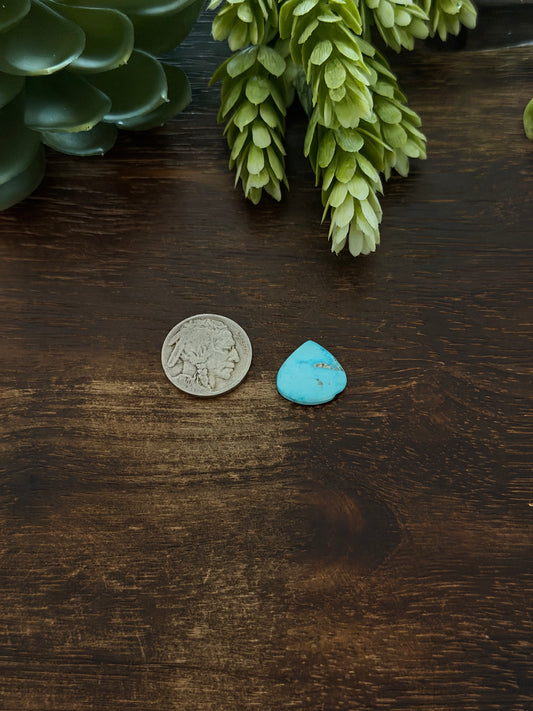 Blue Bird Turquoise Cab
