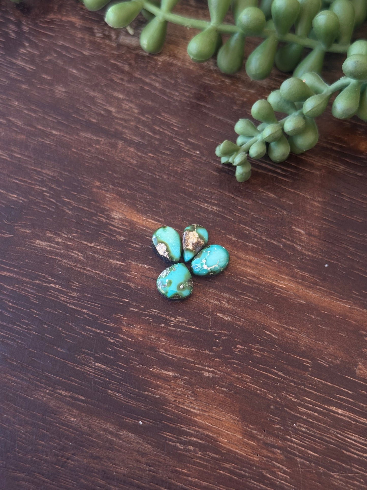 Sonoran Mountain Turquoise Cabs