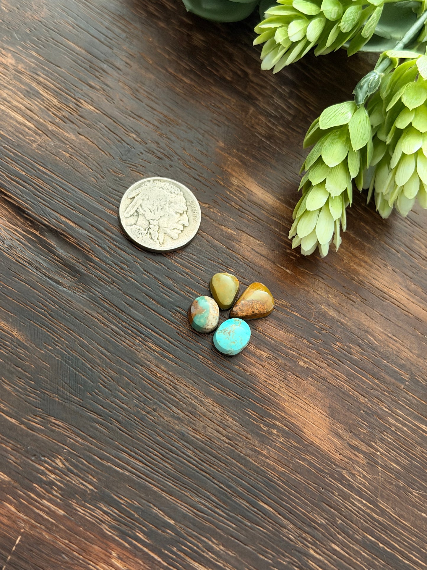 Evans Turquoise Cabs