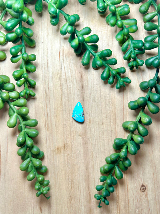 Blue Ridge Turquoise Cab