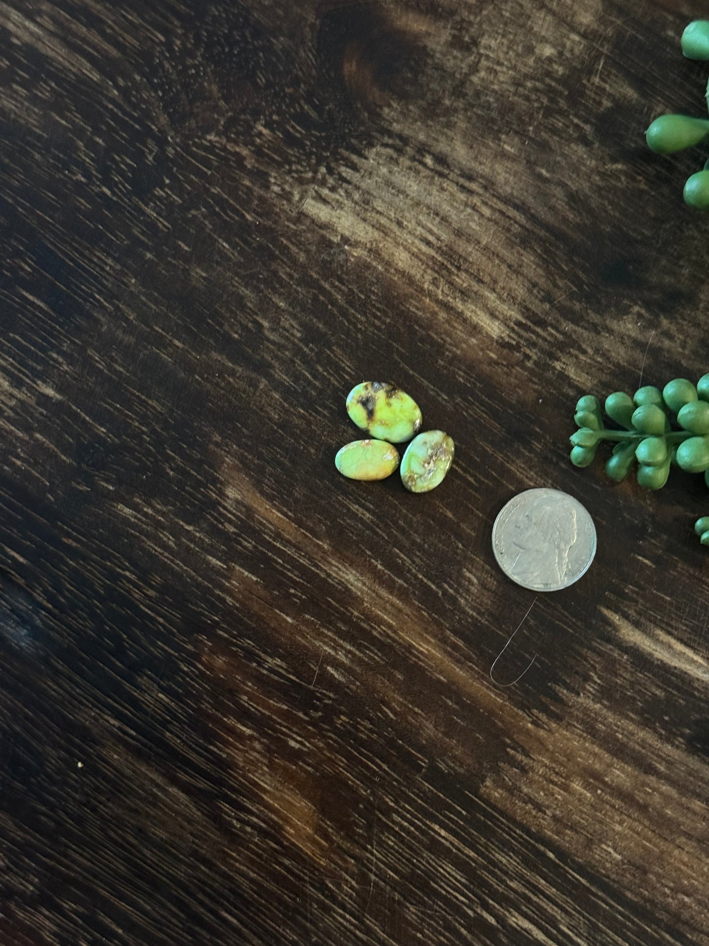 Palomino Variscite Cabs