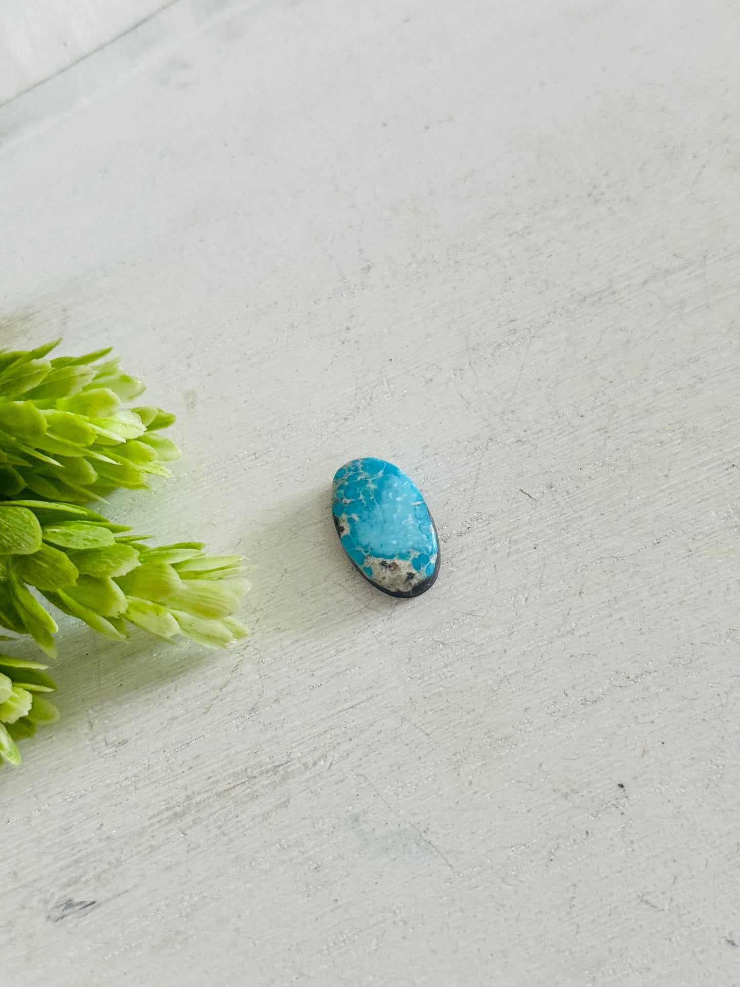 Blue Bird Turquoise Cab