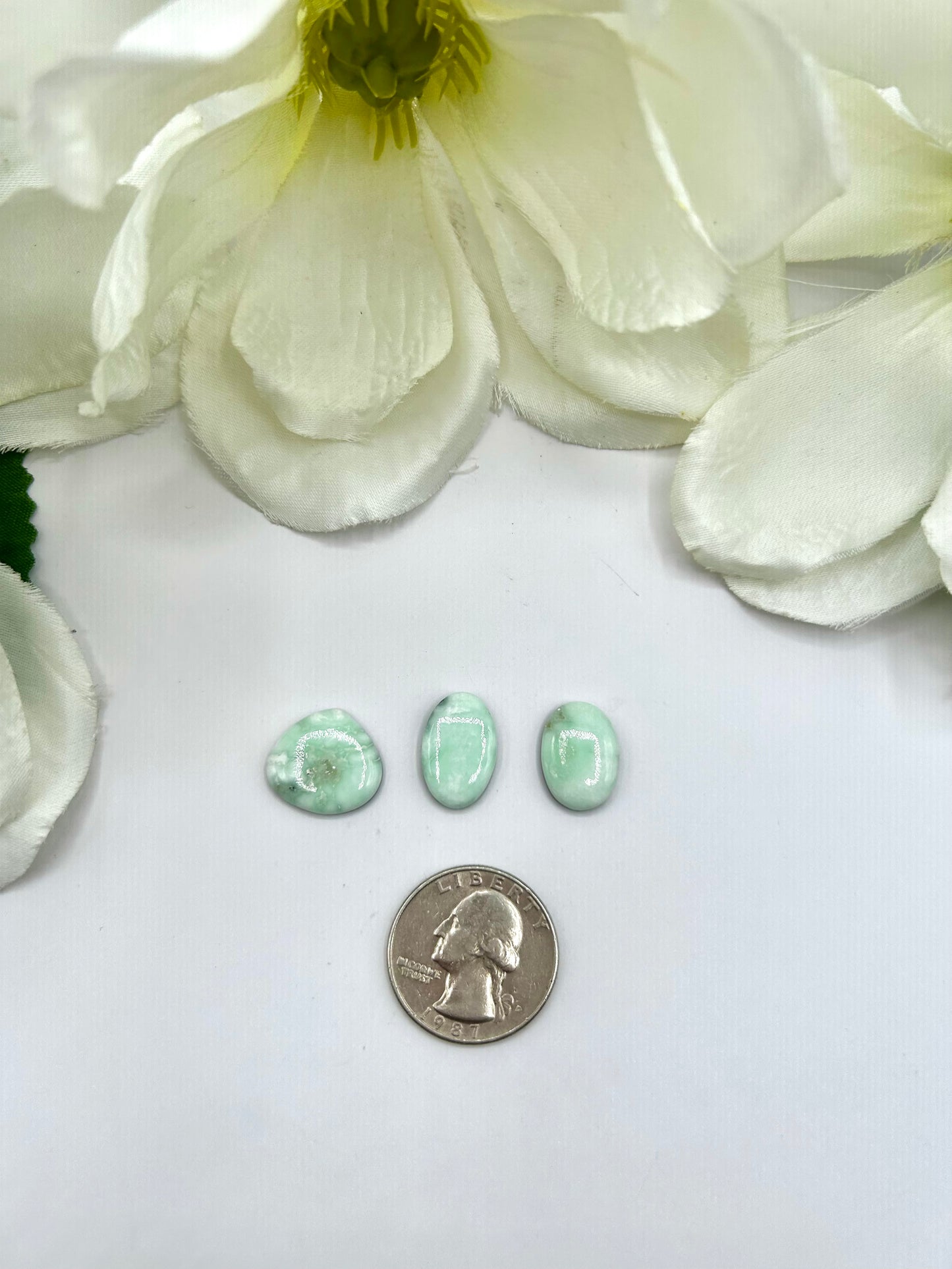 Paloma Variscite Cabs