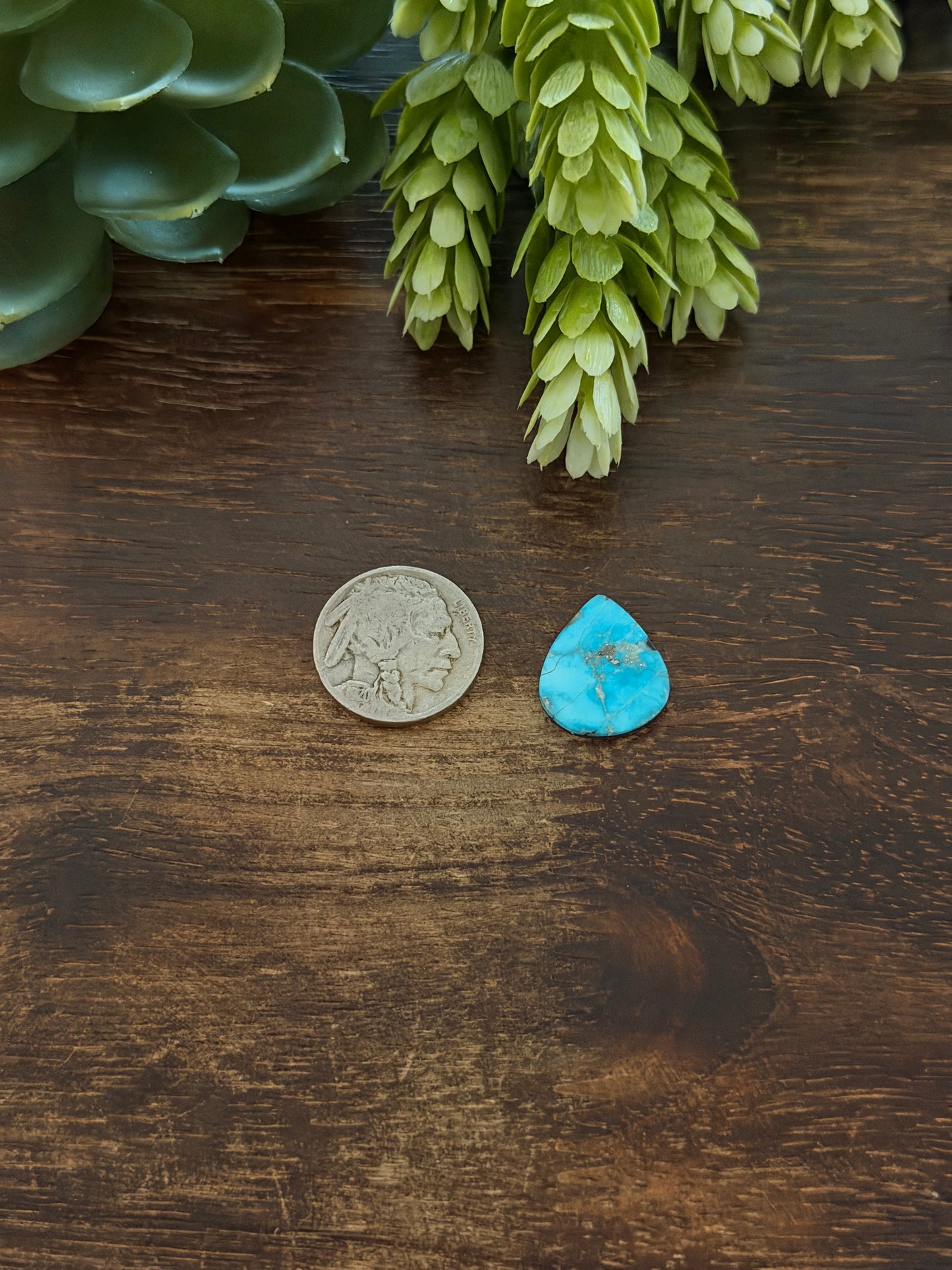 Blue Bird Turquoise Cab