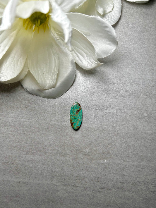 Kingman Turquoise Cab