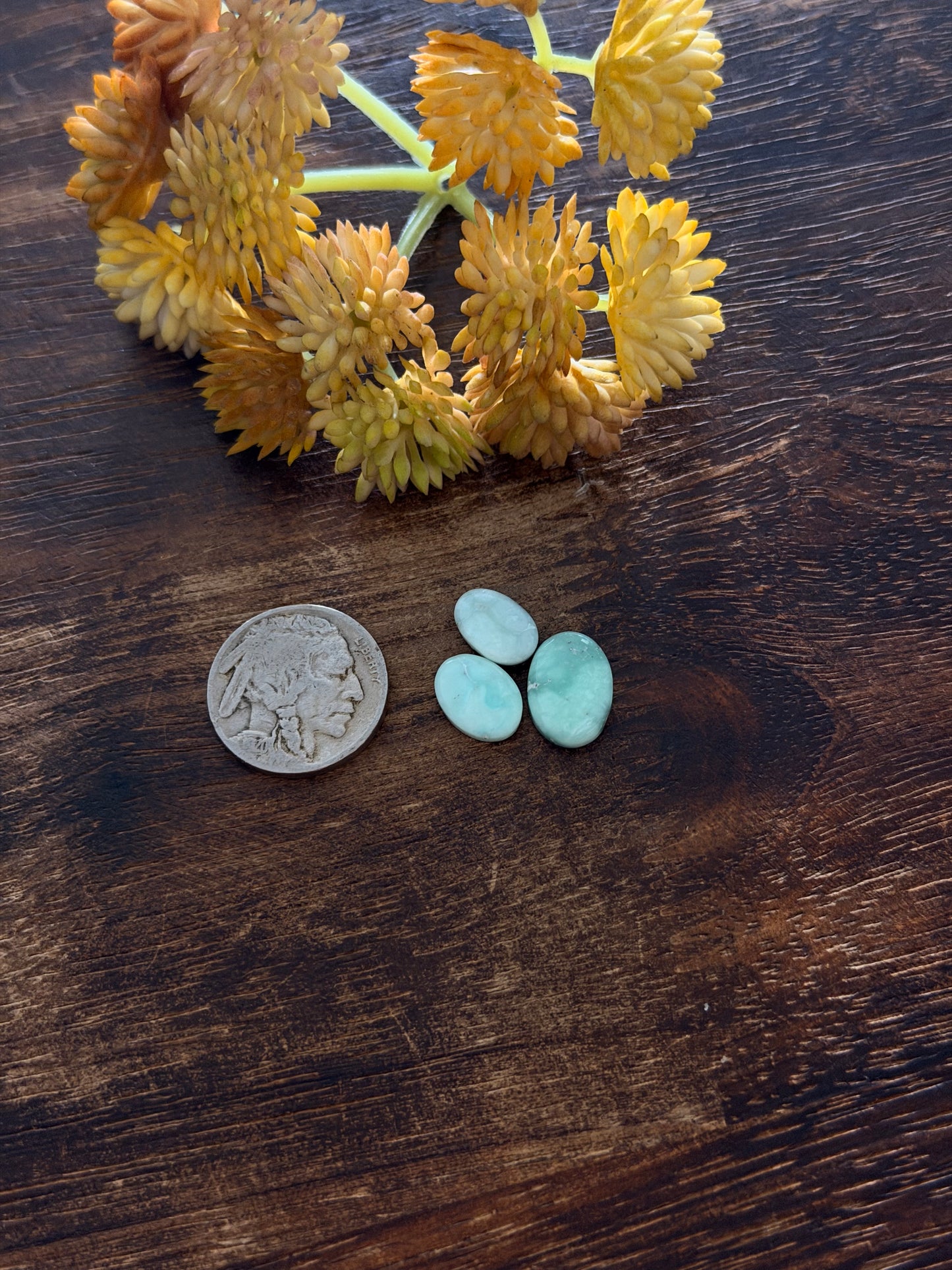Paloma Variscite Cabs