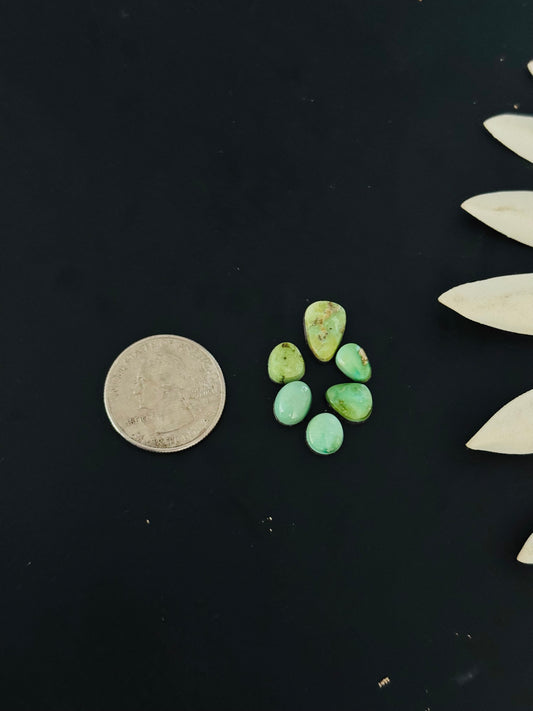 Natural Sonoran Gold Turquoise Cabs