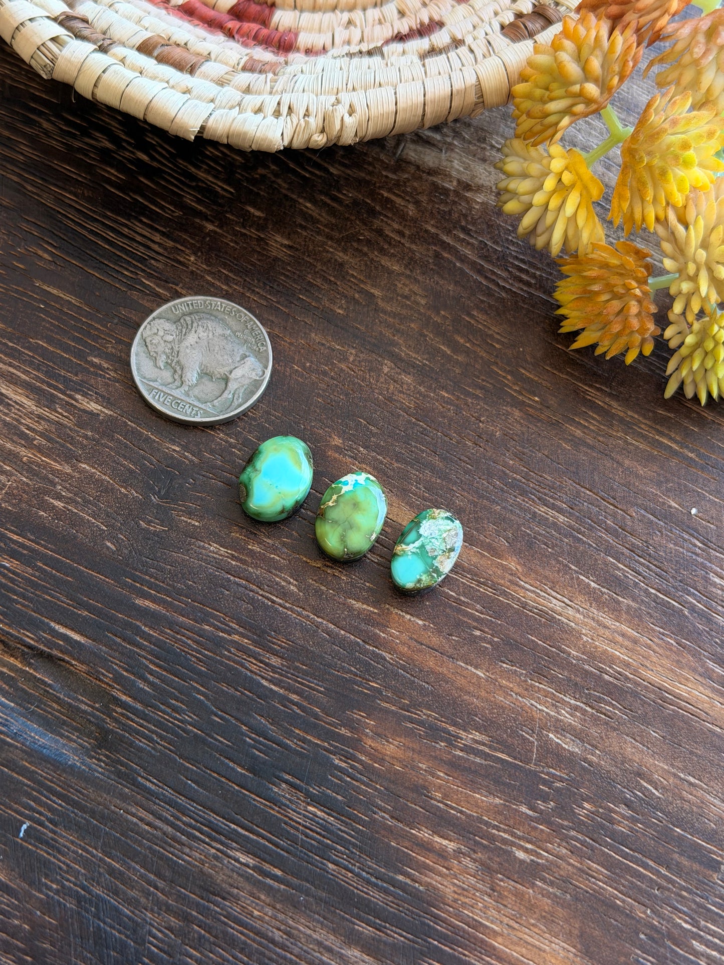 Sonoran Mountain Turquoise Cabs