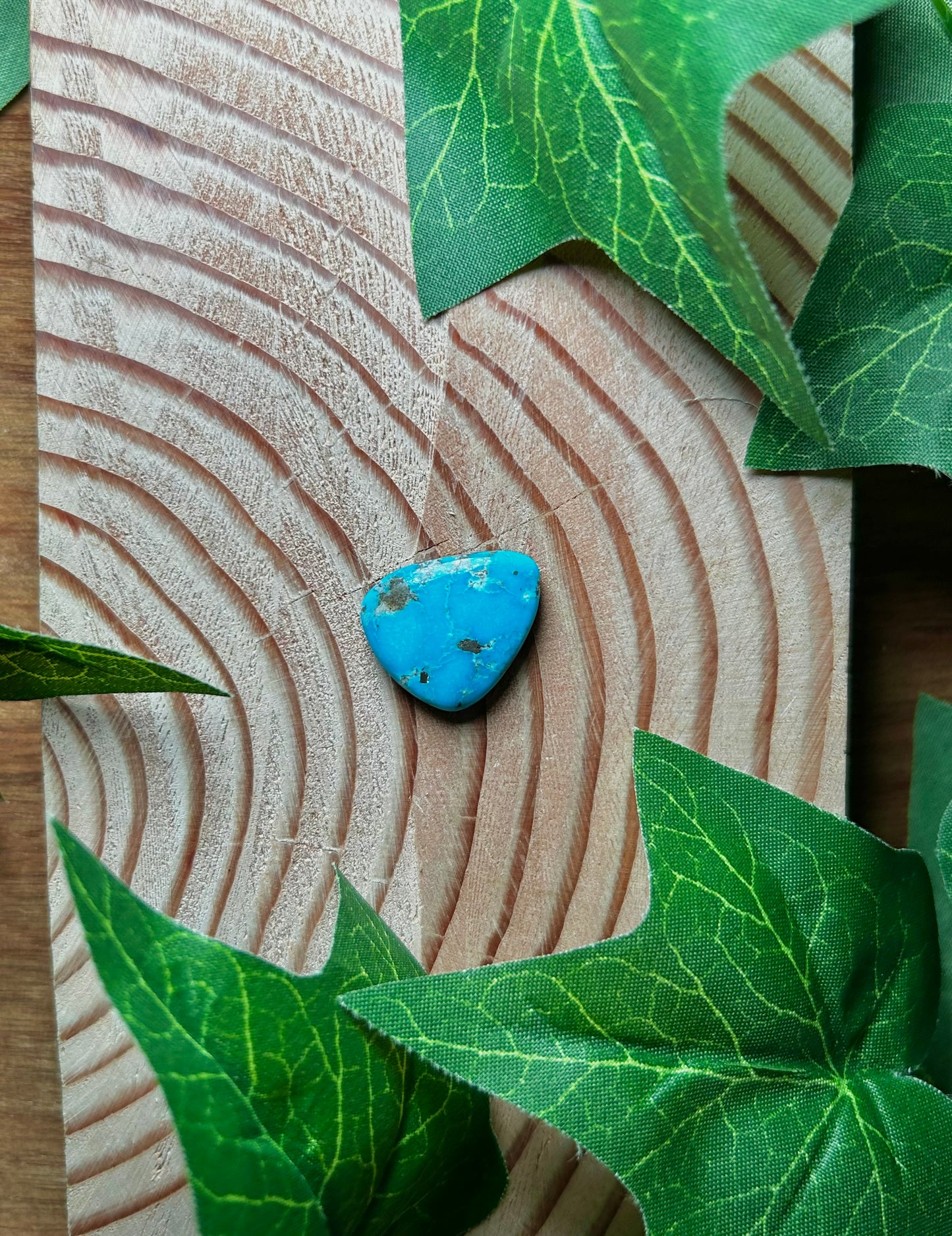 Blue Bird Turquoise Cabs