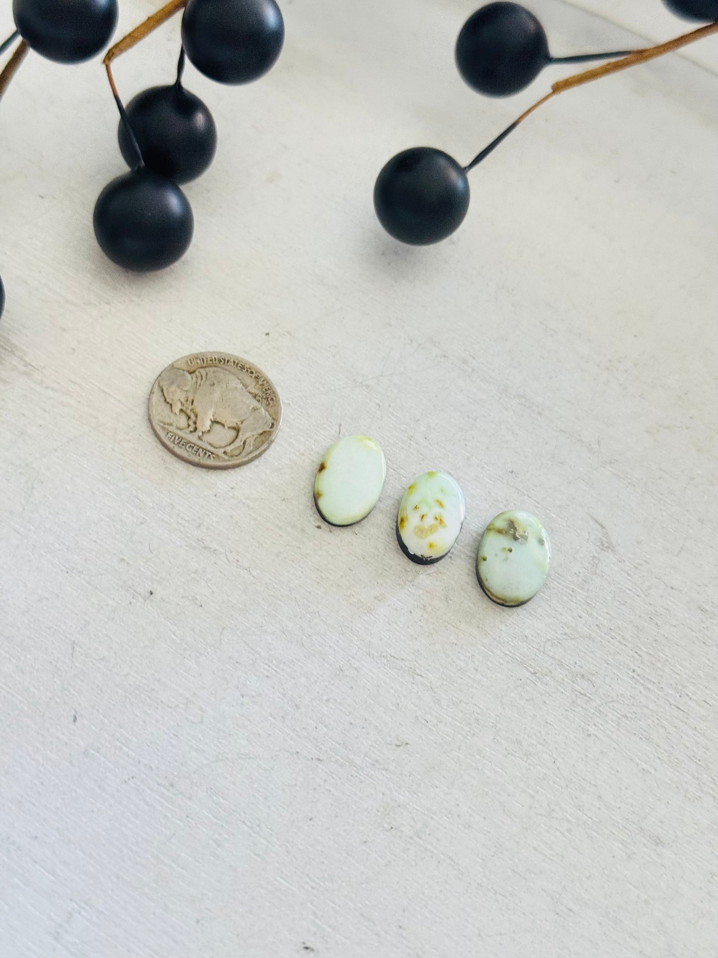 Palomino Variscite Cabs