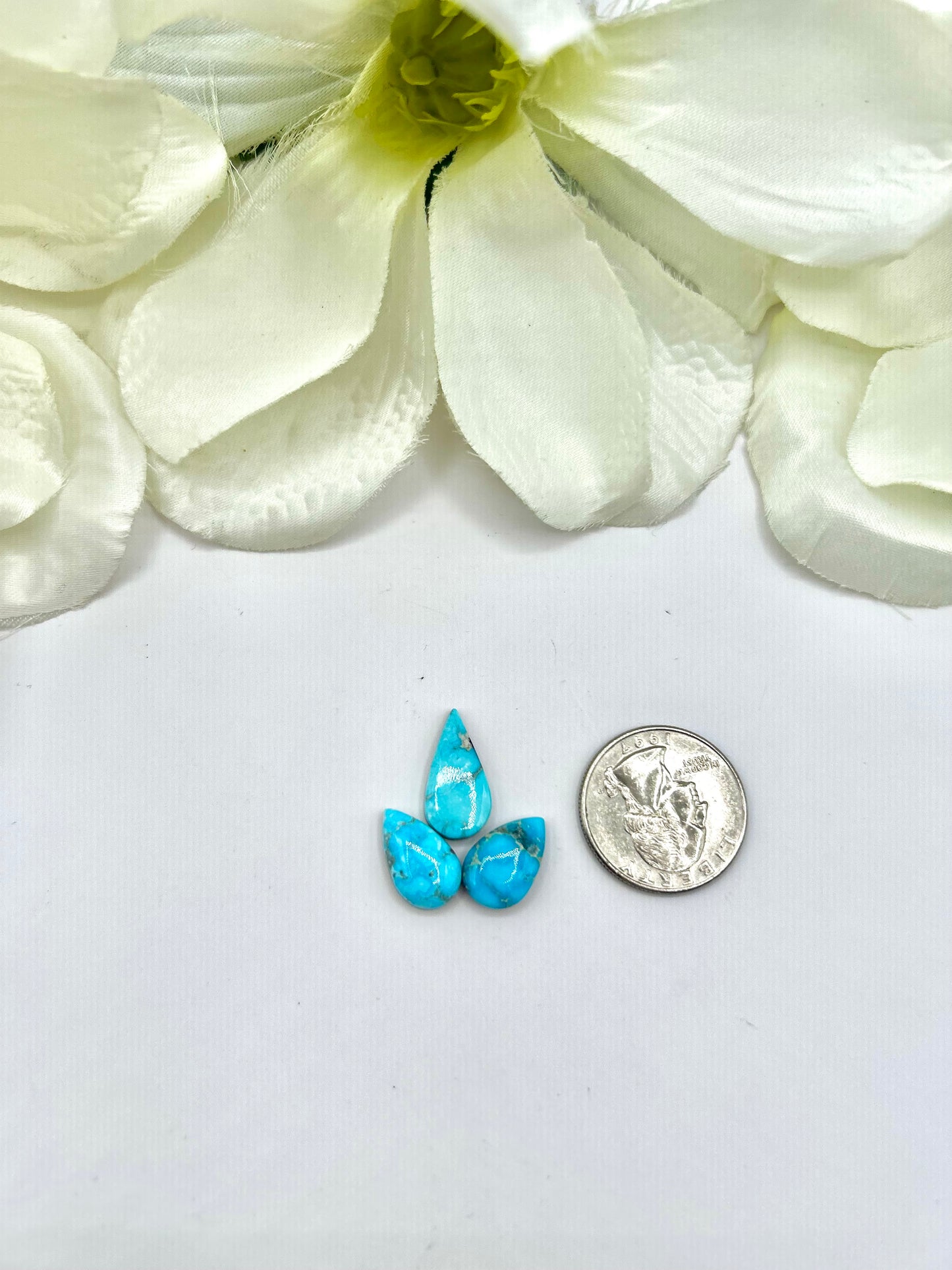 Blue Ridge Turquoise Cabs