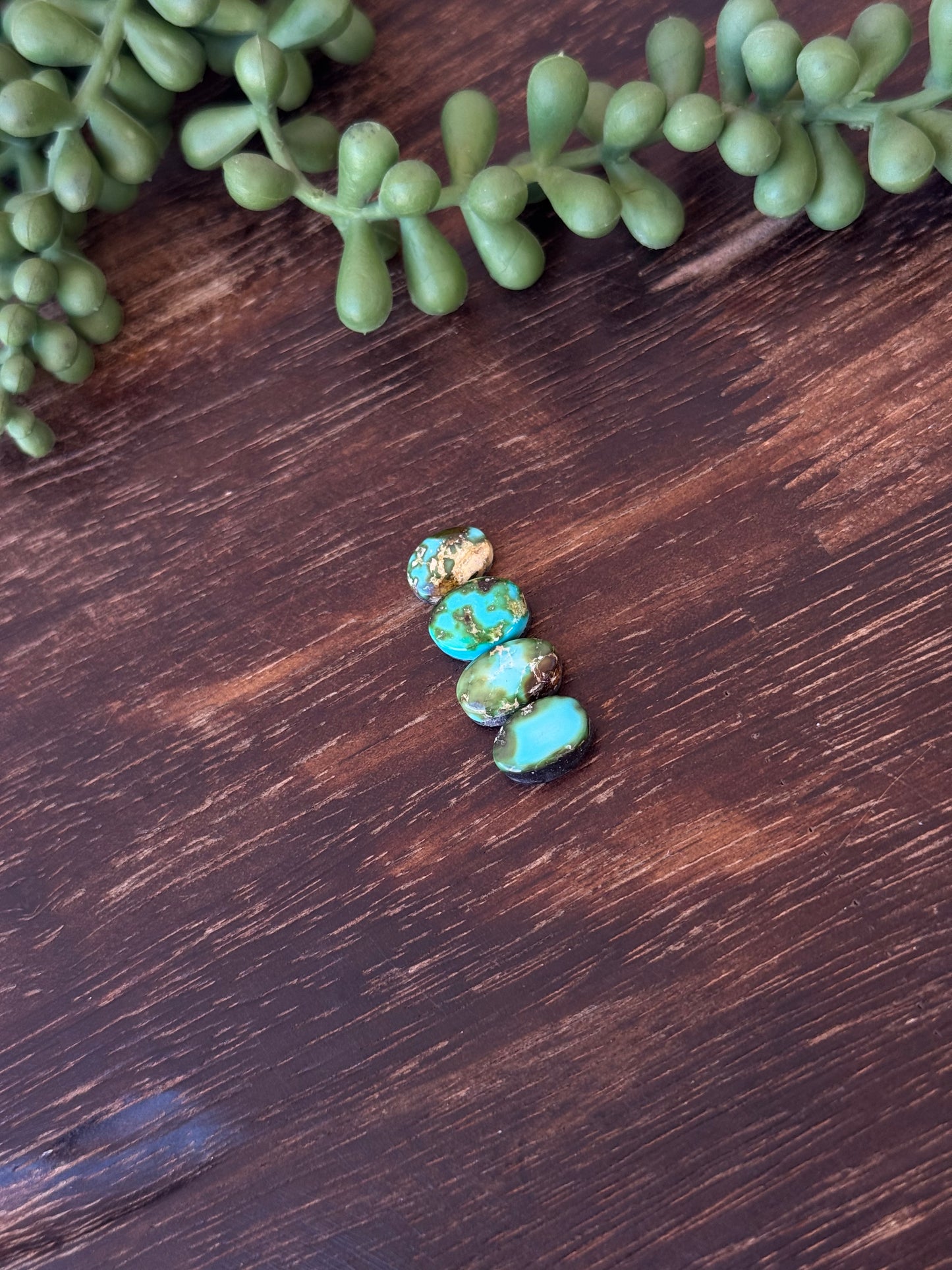 Sonoran Mountain Turquoise Cabs
