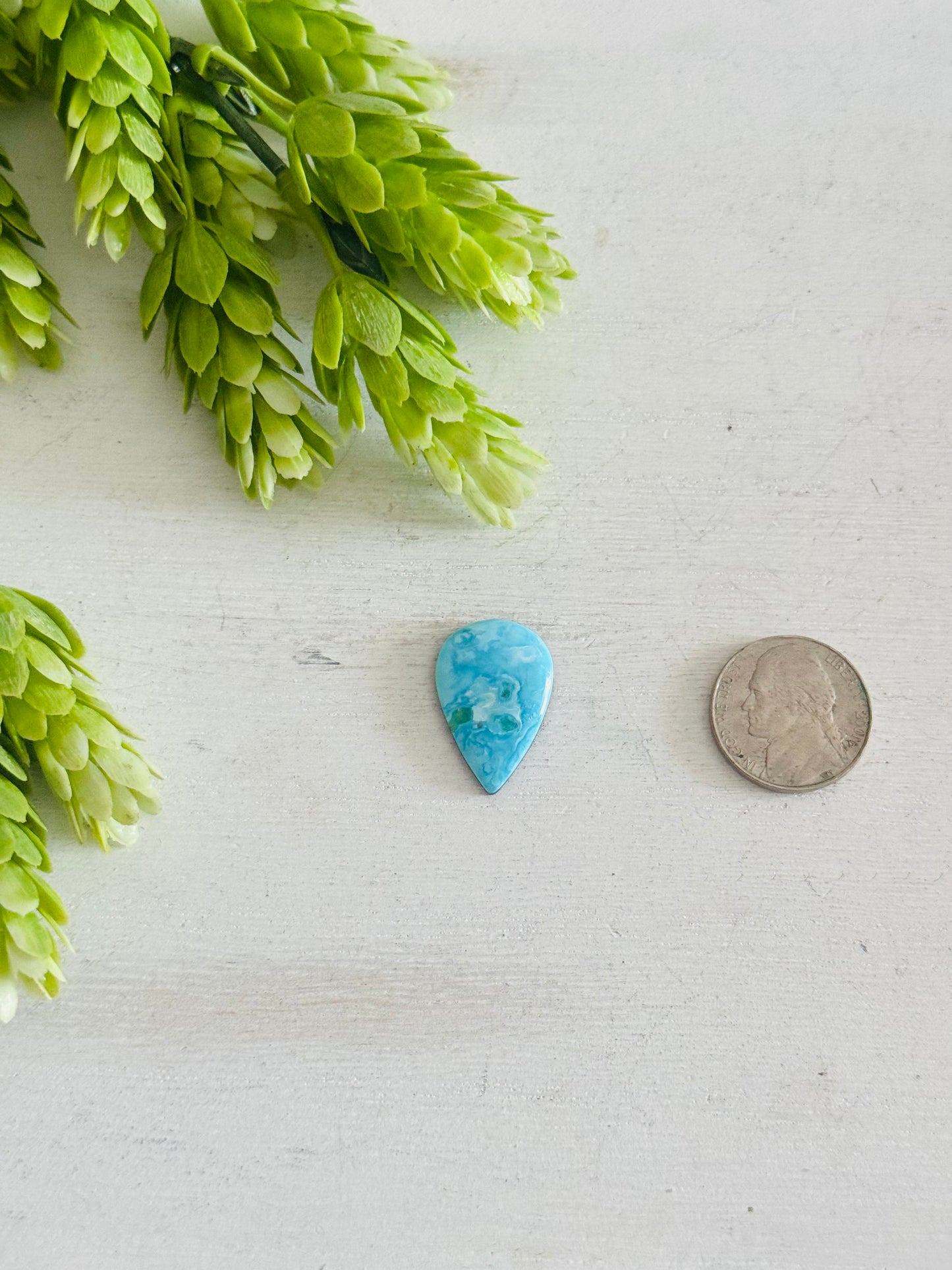 Blue Bird Turquoise Cab