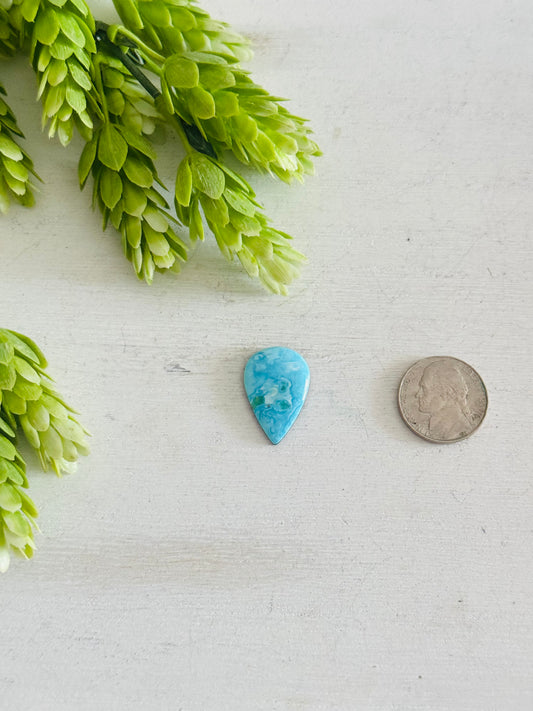 Blue Bird Turquoise Cab