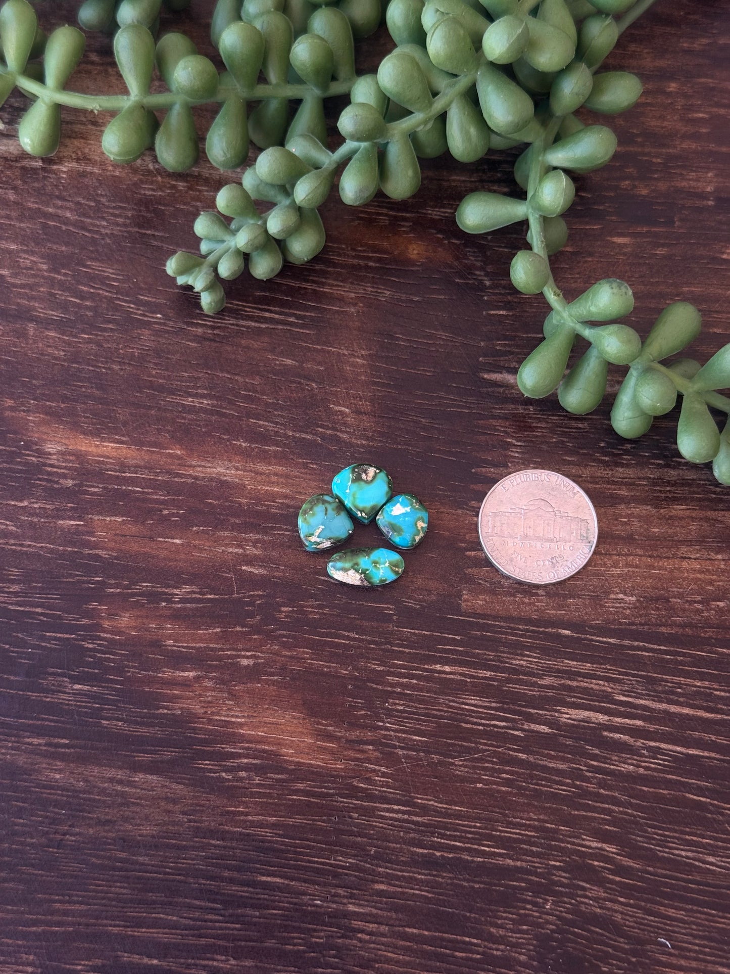 Sonoran Mountain Turquoise Cabs