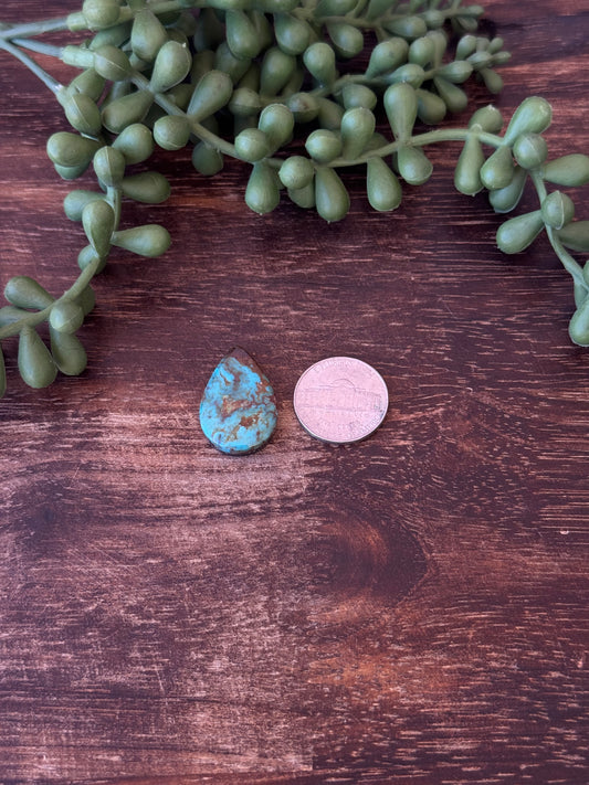 Kingman Turquoise Cab