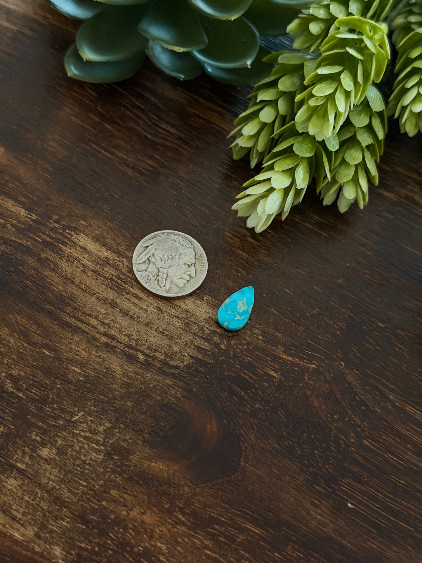 Blue Bird Turquoise Cab