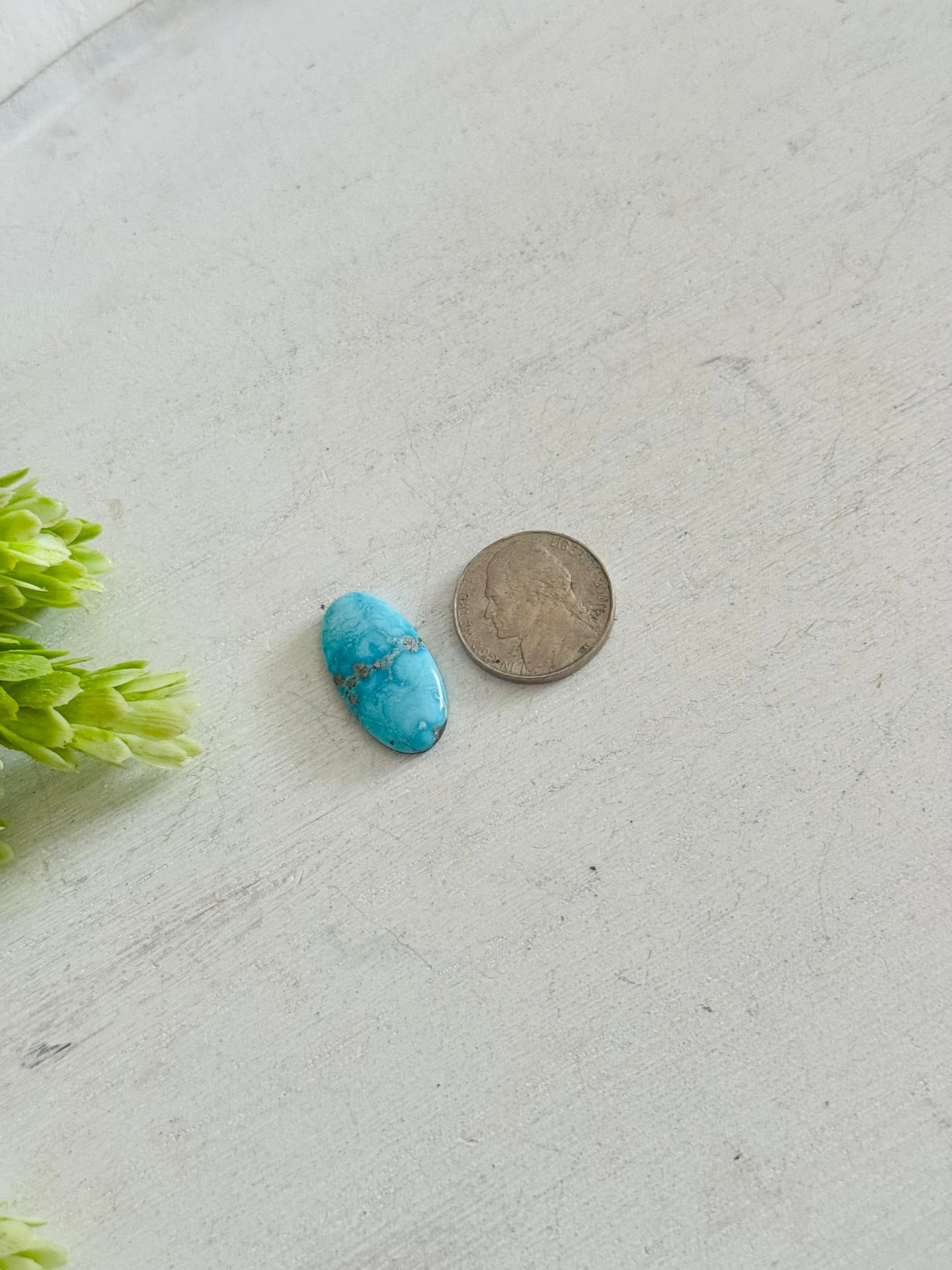 Blue Bird Turquoise Cab