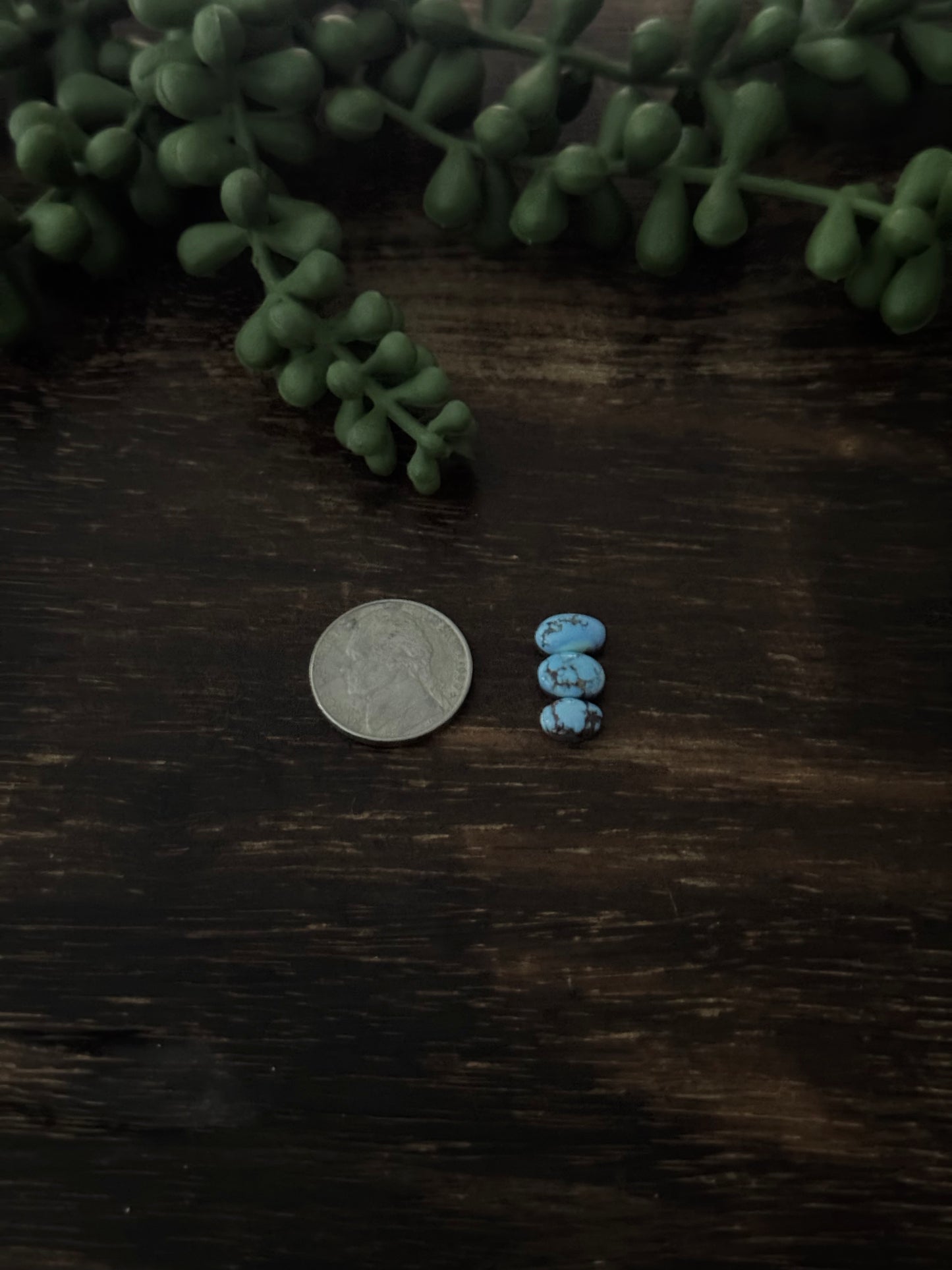 Golden Hills Turquoise Cabs