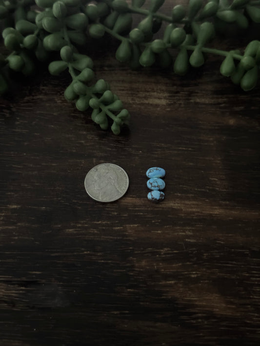 Golden Hills Turquoise Cabs