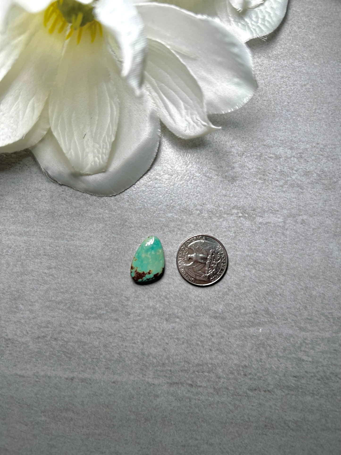 Kingman Turquoise Cab