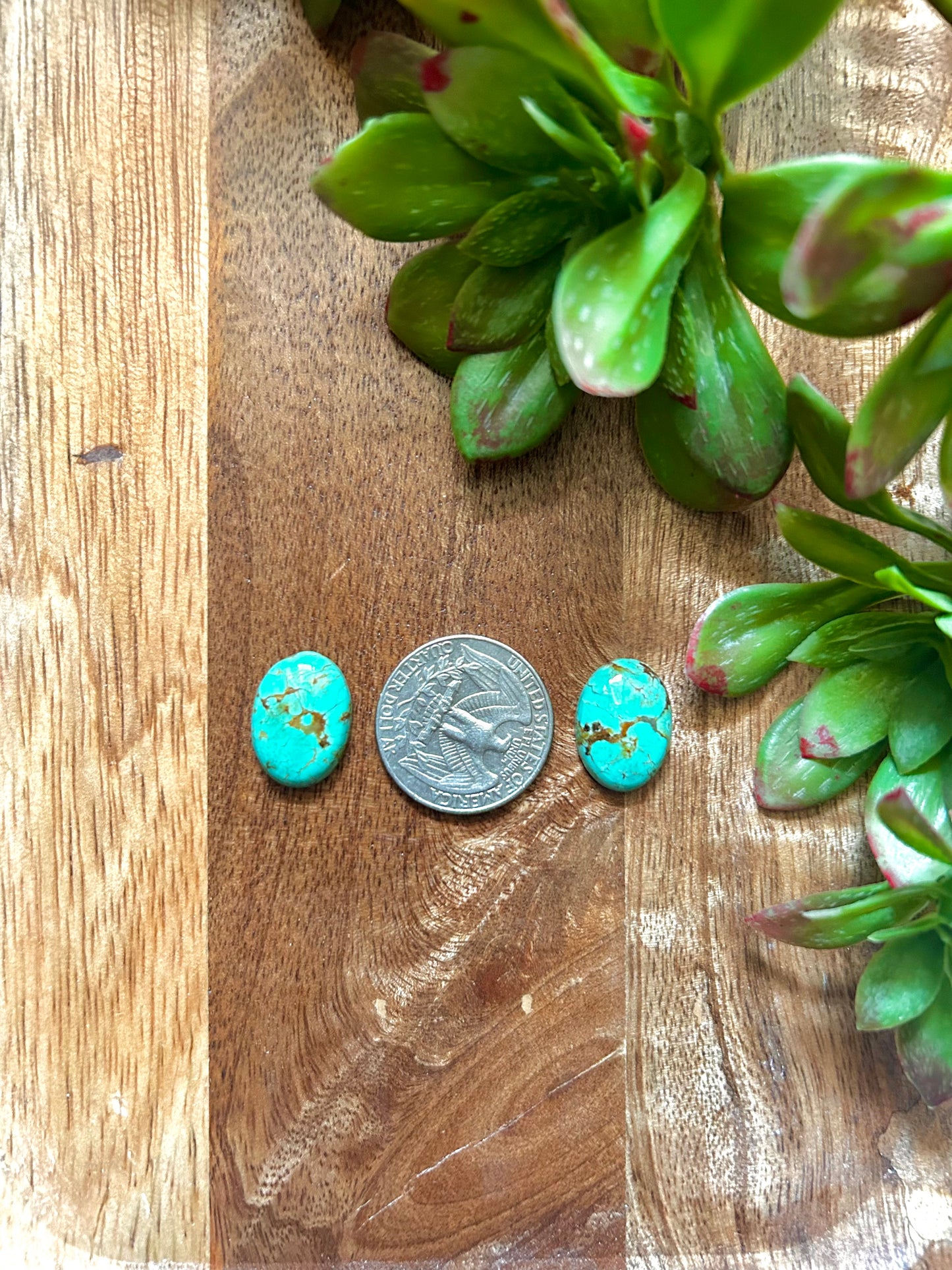 Kingman Turquoise Cabs