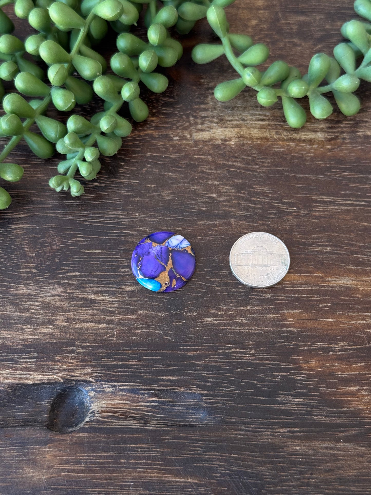 Purple Dahlia Composite Cabs