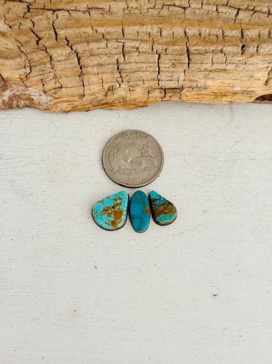 Natural Kings Manassa Turquoise Cabs