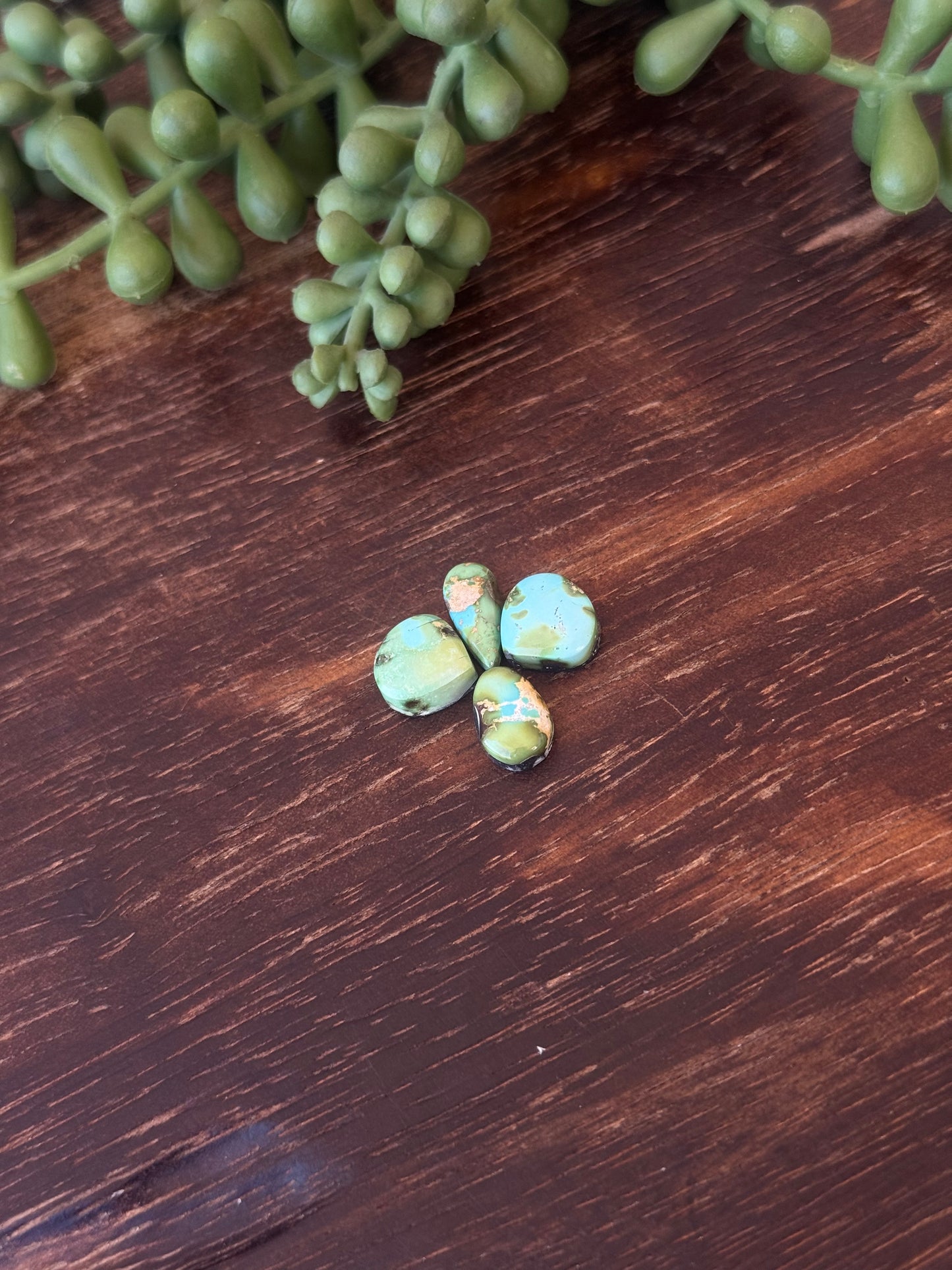 Sonoran Mountain Turquoise Cabs