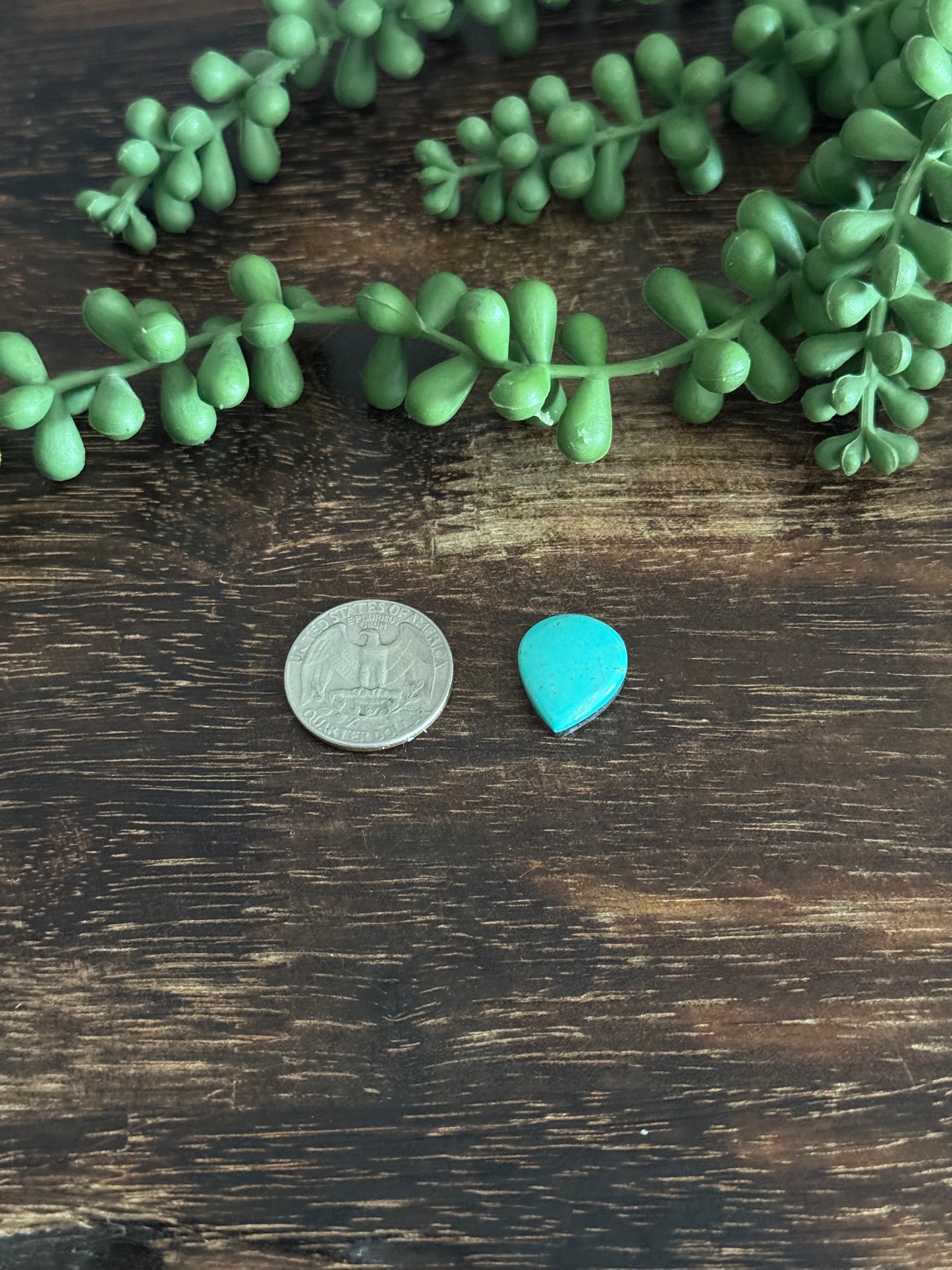 Kingman Turquoise Cab