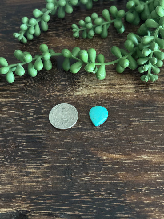 Kingman Turquoise Cab