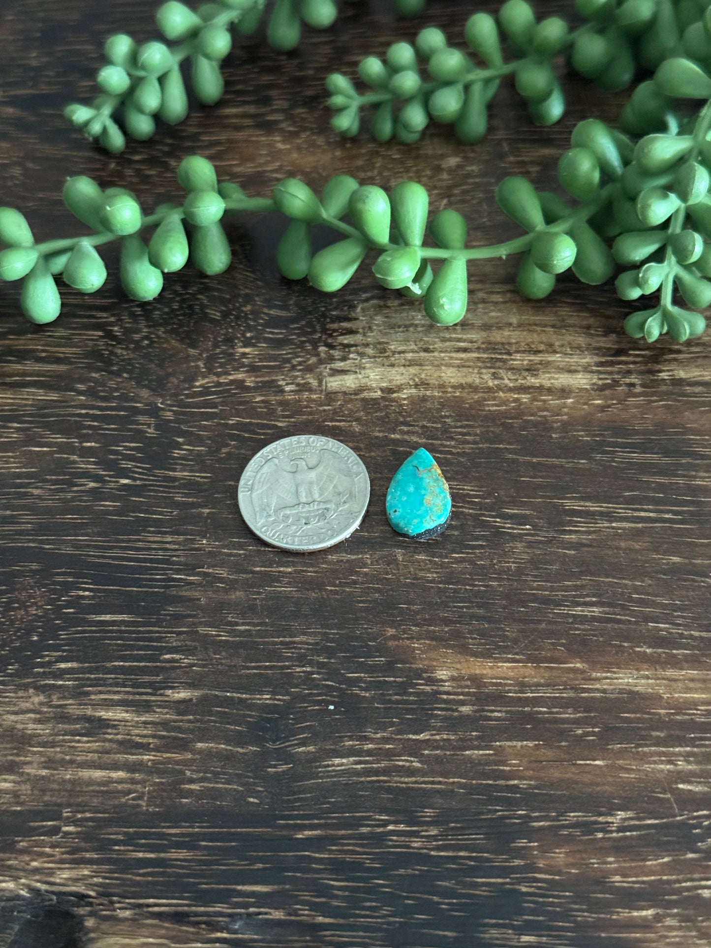 Kingman Turquoise Cab