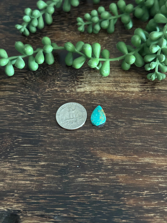 Kingman Turquoise Cab