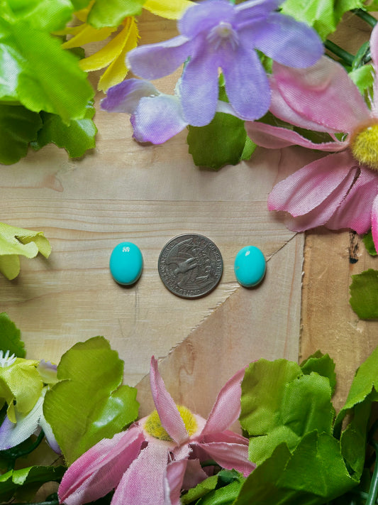 Kingman Turquoise Cabs