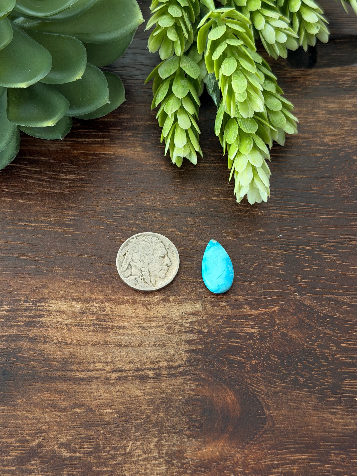 Blue Bird Turquoise Cab