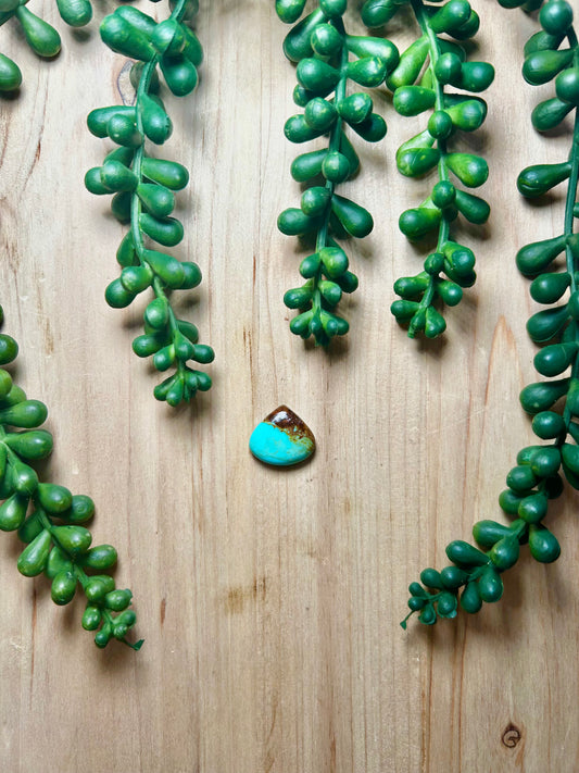 Kingman Turquoise Cab